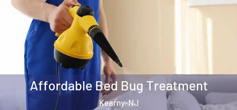  Affordable Bed Bug Treatment Kearny-NJ