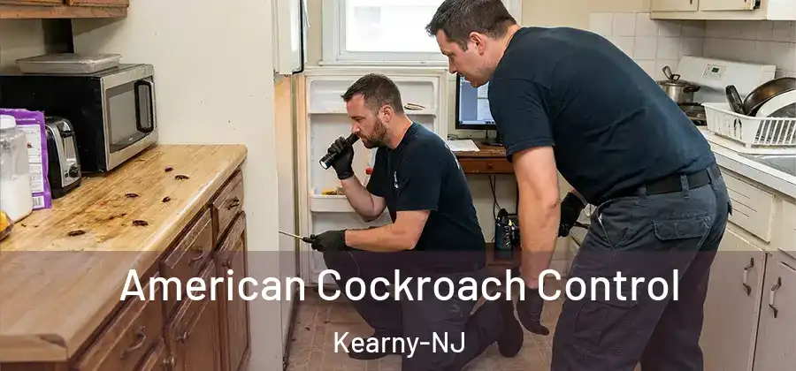 American Cockroach Control Kearny-NJ