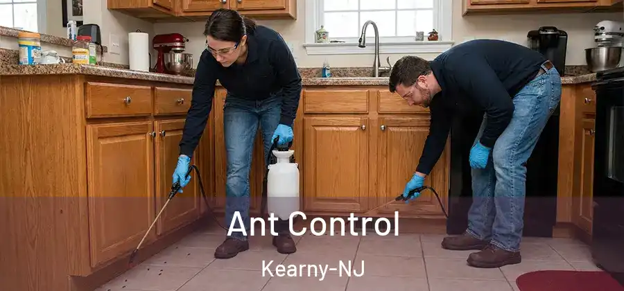 Ant Control Kearny-NJ
