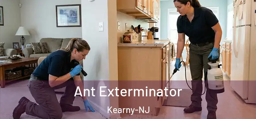 Ant Exterminator Kearny-NJ