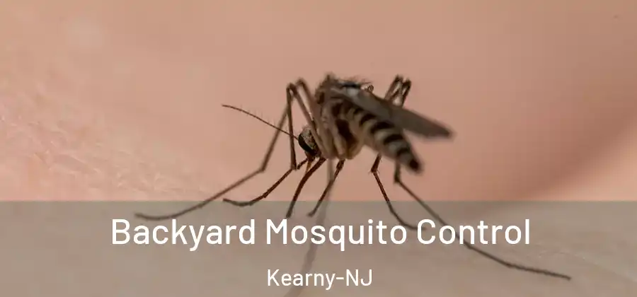 Backyard Mosquito Control Kearny-NJ