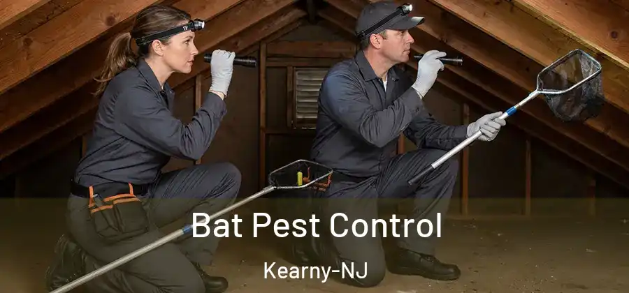 Bat Pest Control Kearny-NJ