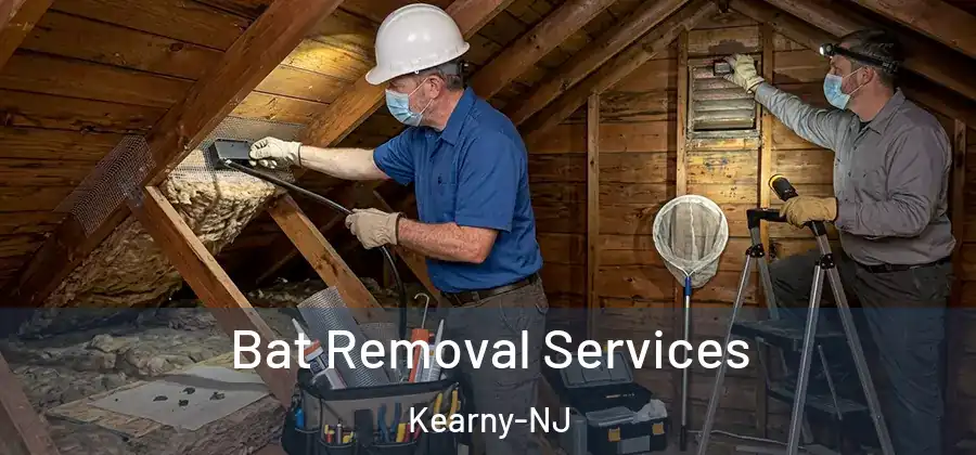 Bat Removal Services Kearny-NJ