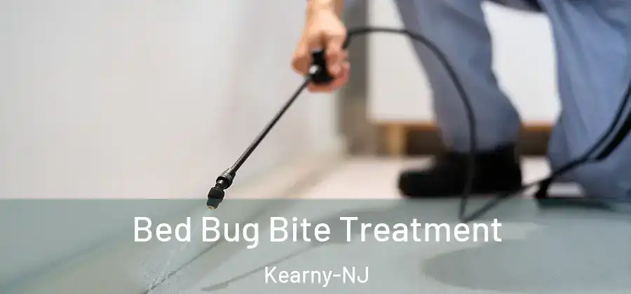 Bed Bug Bite Treatment Kearny-NJ