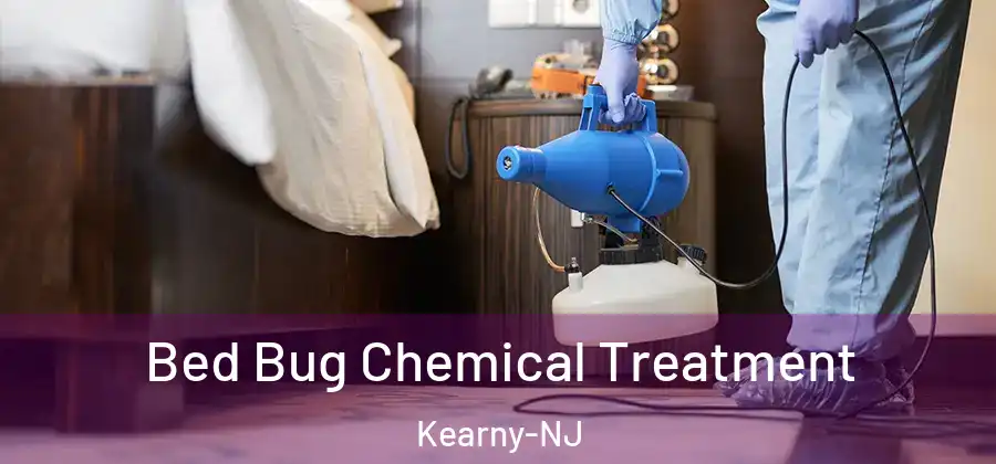 Bed Bug Chemical Treatment Kearny-NJ