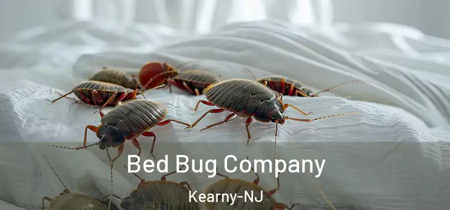  Bed Bug Company Kearny-NJ