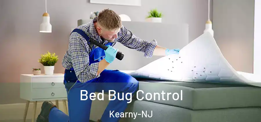  Bed Bug Control Kearny-NJ