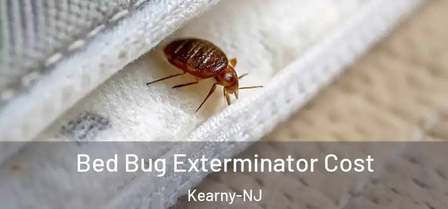 Bed Bug Exterminator Cost Kearny-NJ