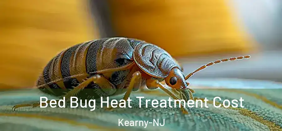 Bed Bug Heat Treatment Cost Kearny-NJ