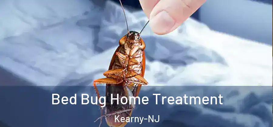 Bed Bug Home Treatment Kearny-NJ