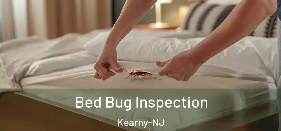 Bed Bug Inspection Kearny-NJ