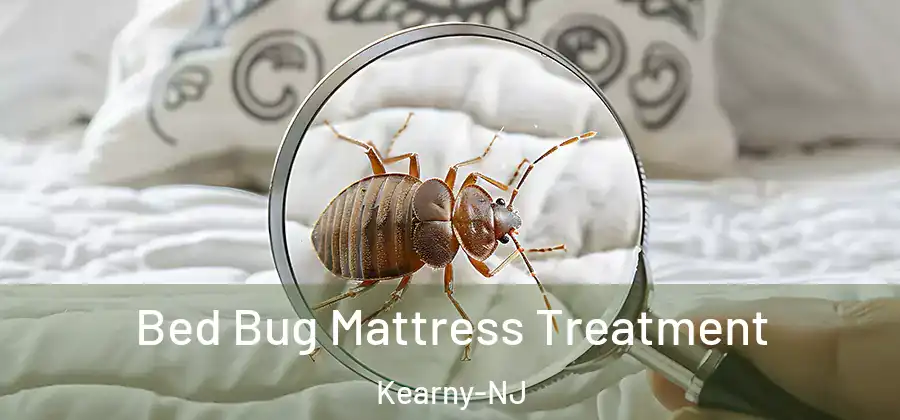 Bed Bug Mattress Treatment Kearny-NJ
