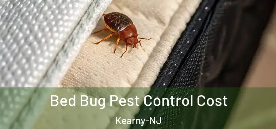  Bed Bug Pest Control Cost Kearny-NJ