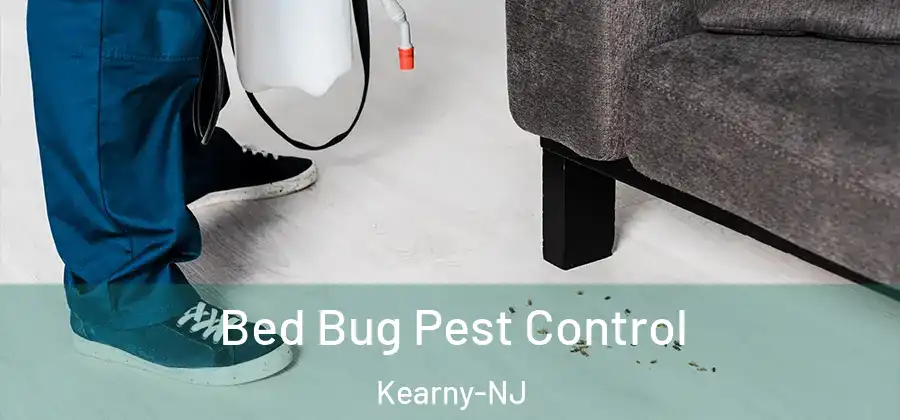 Bed Bug Pest Control Kearny-NJ