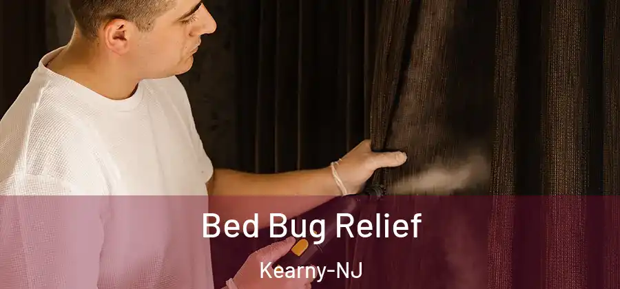 Bed Bug Relief Kearny-NJ