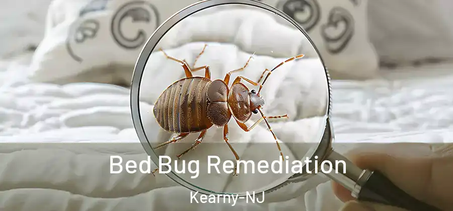 Bed Bug Remediation Kearny-NJ