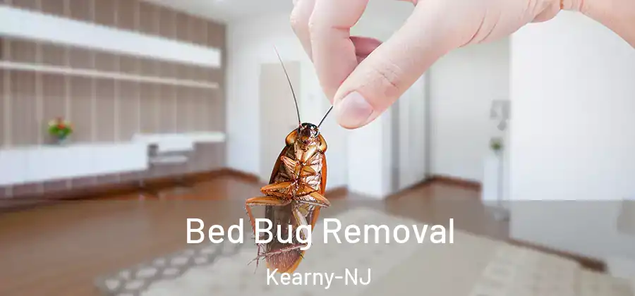 Bed Bug Removal Kearny-NJ
