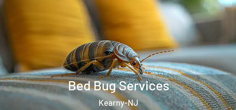 Bed Bug Services Kearny-NJ