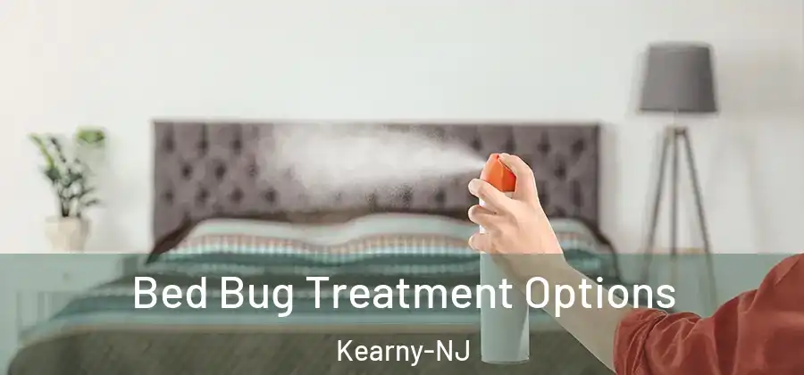 Bed Bug Treatment Options Kearny-NJ