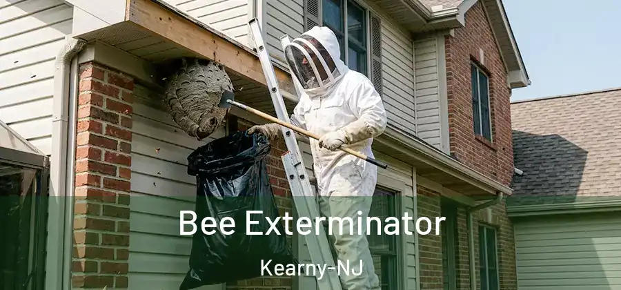 Bee Exterminator Kearny-NJ