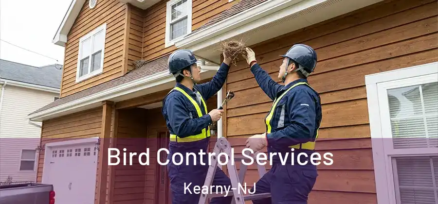 Bird Control Services Kearny-NJ