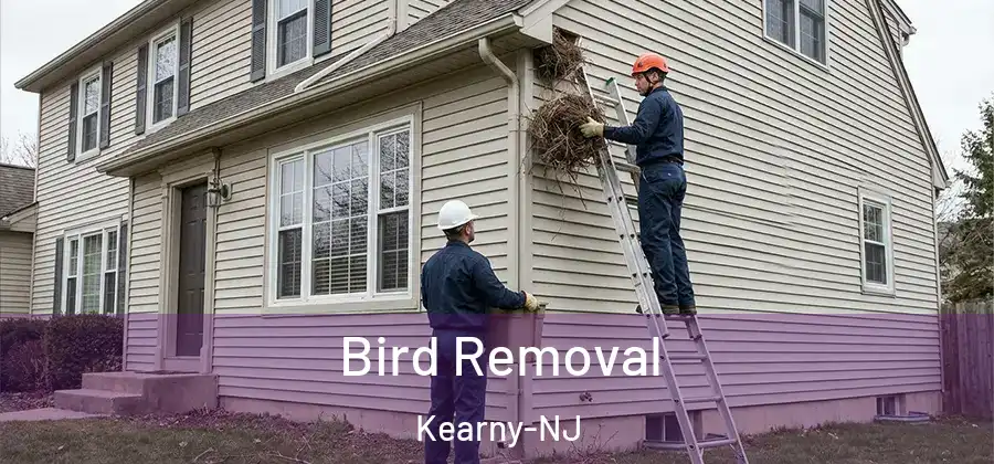 Bird Removal Kearny-NJ