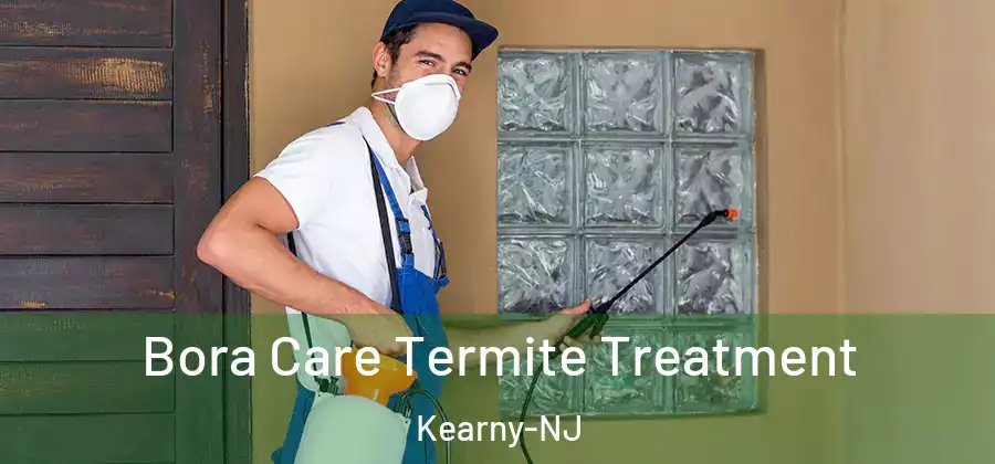Bora Care Termite Treatment Kearny-NJ
