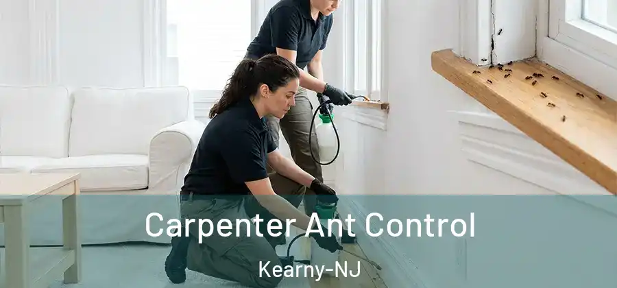 Carpenter Ant Control Kearny-NJ
