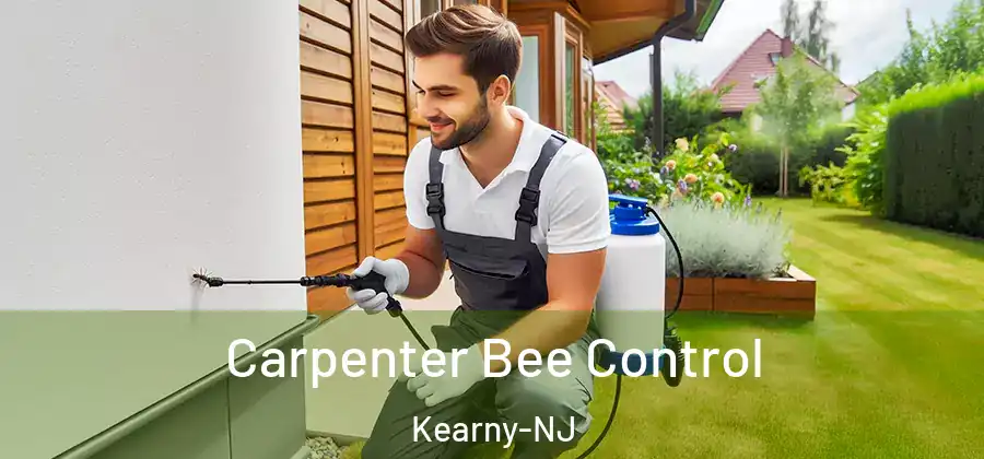 Carpenter Bee Control Kearny-NJ