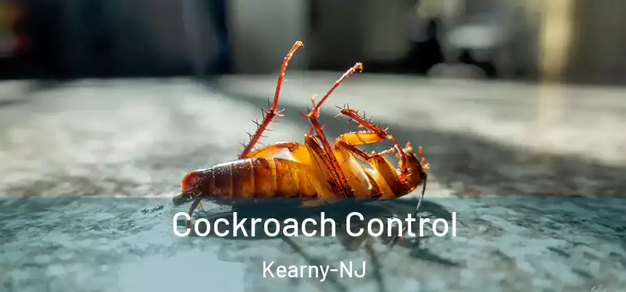 Cockroach Control Kearny-NJ