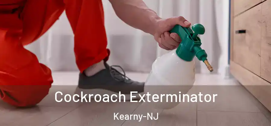 Cockroach Exterminator Kearny-NJ