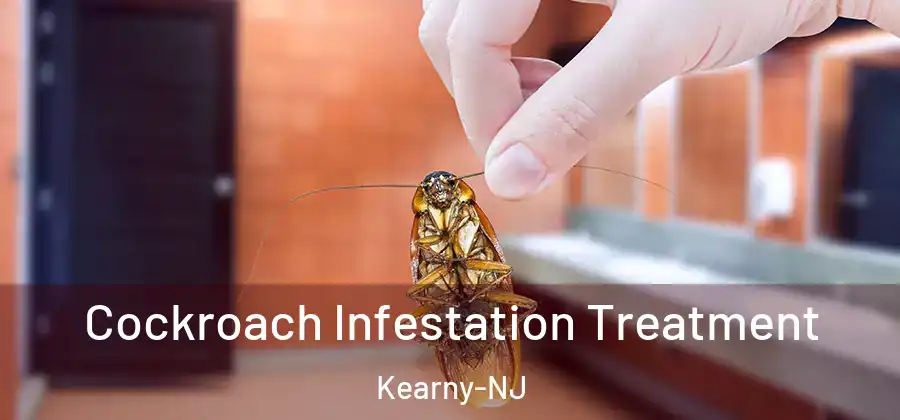 Cockroach Infestation Treatment Kearny-NJ