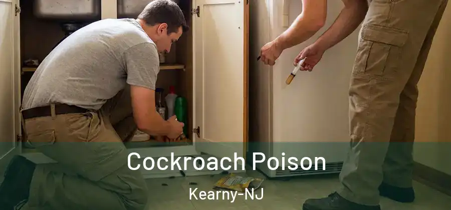 Cockroach Poison Kearny-NJ