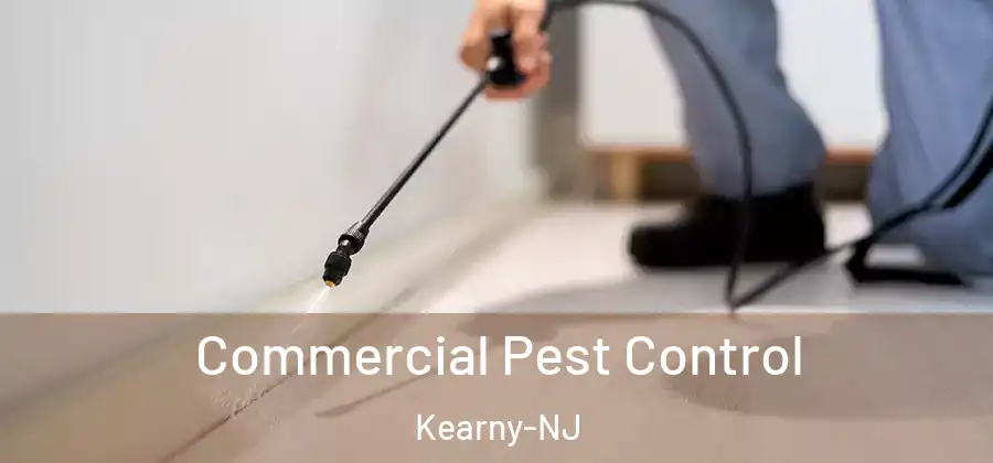 Commercial Pest Control Kearny-NJ