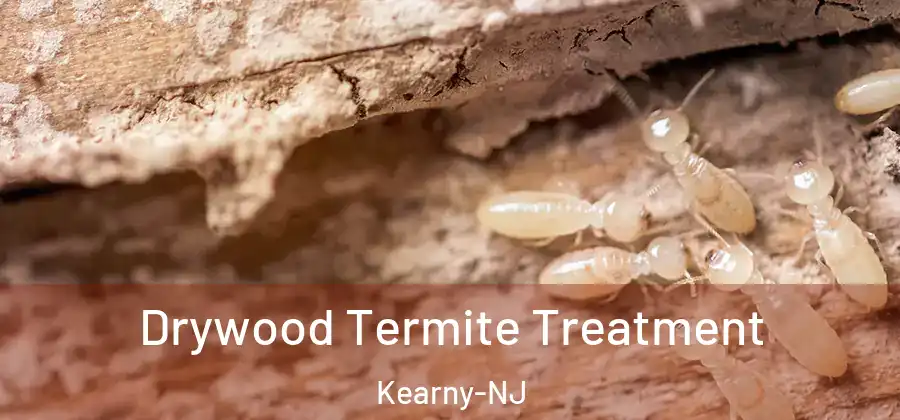 Drywood Termite Treatment Kearny-NJ