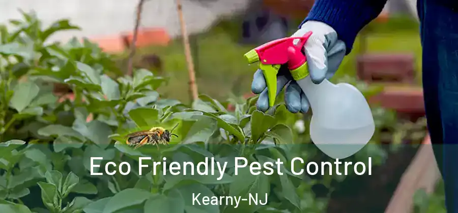 Eco Friendly Pest Control Kearny-NJ