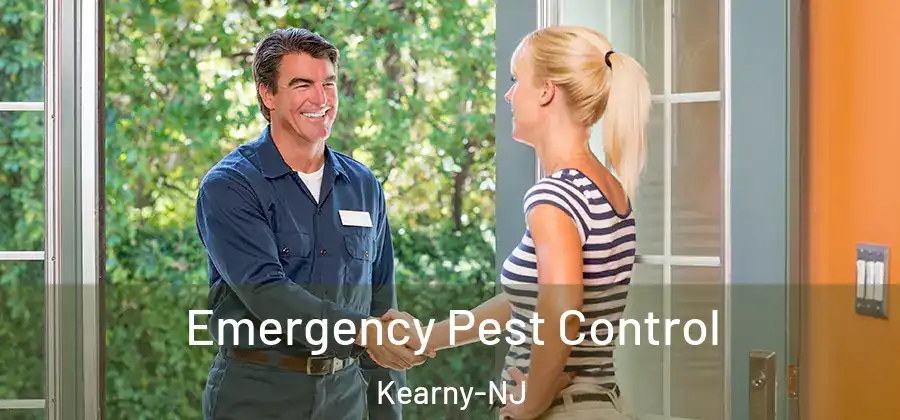 Emergency Pest Control Kearny-NJ
