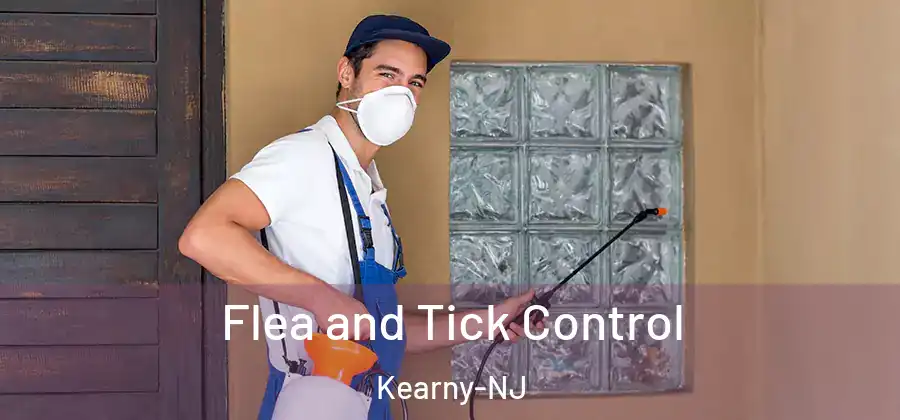 Flea and Tick Control Kearny-NJ