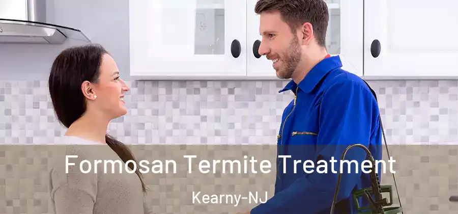 Formosan Termite Treatment Kearny-NJ