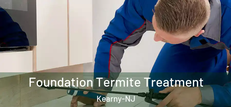 Foundation Termite Treatment Kearny-NJ
