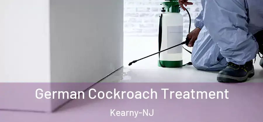  German Cockroach Treatment Kearny-NJ