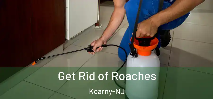 Get Rid of Roaches Kearny-NJ