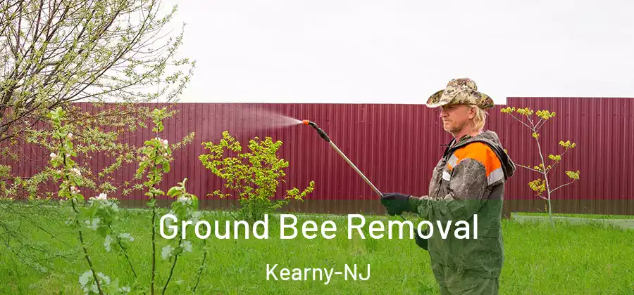 Ground Bee Removal Kearny-NJ