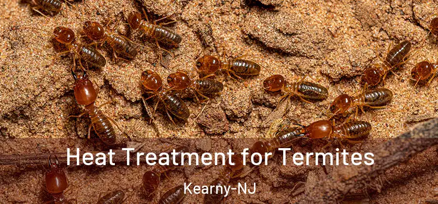 Heat Treatment for Termites Kearny-NJ