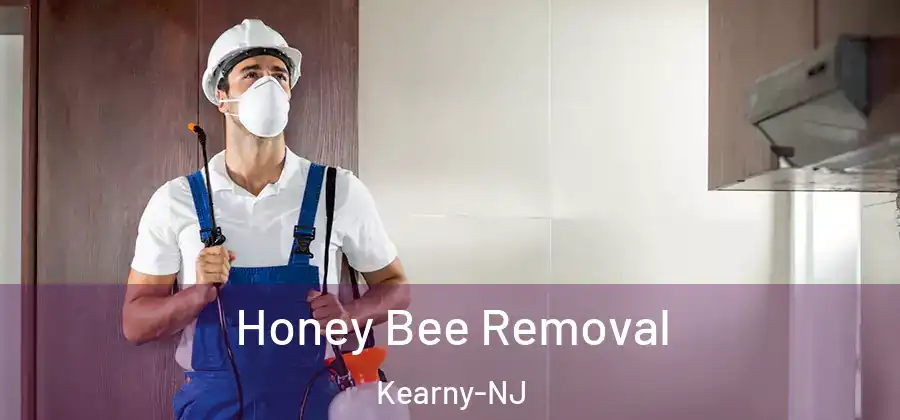 Honey Bee Removal Kearny-NJ