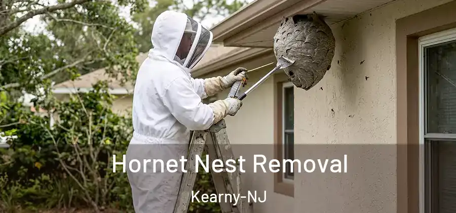Hornet Nest Removal Kearny-NJ