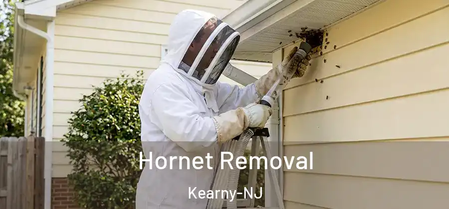 Hornet Removal Kearny-NJ