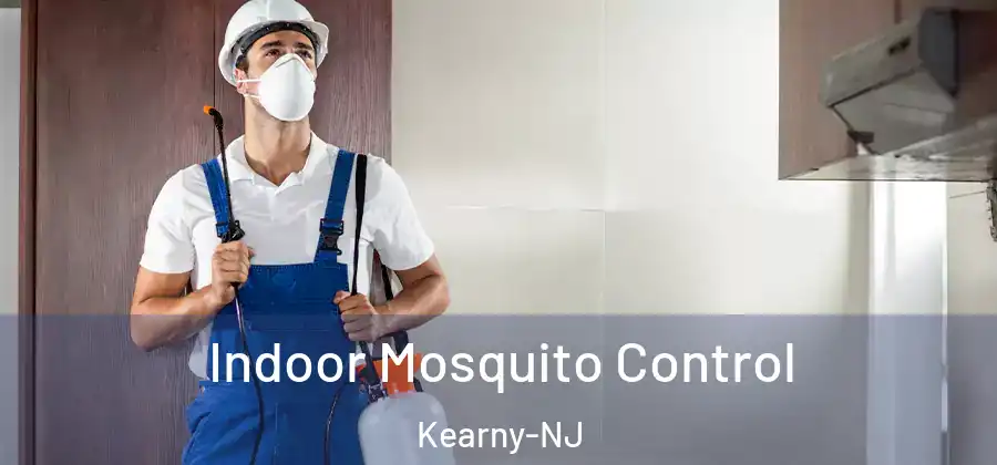 Indoor Mosquito Control Kearny-NJ