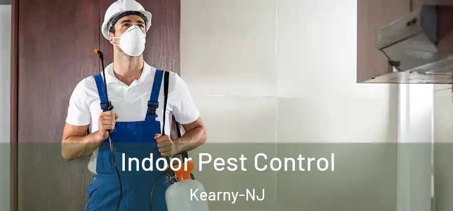 Indoor Pest Control Kearny-NJ