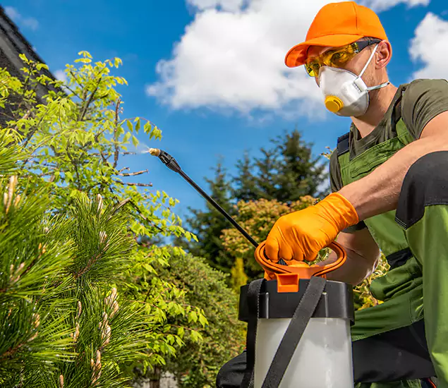 Your Best Bug Spray for Home Team in Kearny, NJ